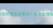三个月哈士奇突然便血呈黑色紧急处理指南与病因全