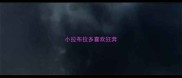 小拉布拉多喜欢狂奔
