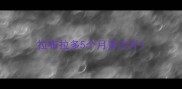 拉布拉多5个月多少斤