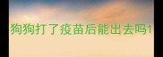 狗狗打了疫苗后能出去吗