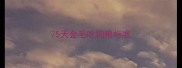 75天金毛吃狗粮标准