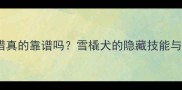 哈士奇打猎真的靠谱吗雪橇犬的隐藏技能与训练指南