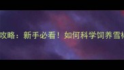 哈士奇宠物养护全攻略新手必看如何科学饲养雪橇王子的健康密码