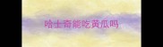 哈士奇能吃黄瓜吗