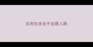 拉布拉多会不会跟人跑