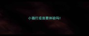 小猫打疫苗要体验吗