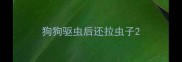 狗狗驱虫后还拉虫子