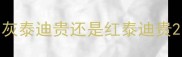灰泰迪贵还是红泰迪贵