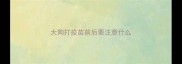 大狗打疫苗前后要注意什么
