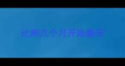 比熊几个月开始磨牙