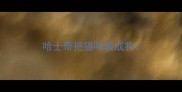 哈士奇把猫咪教成狗
