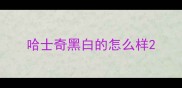 哈士奇黑白的怎么样