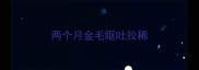 两个月金毛呕吐拉稀