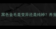 金毛犬颜色全黑色金毛是变异还是纯种养宠必看的科学指南