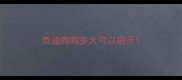 泰迪狗狗多大可以刷牙