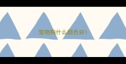 宠物狗什么颜色好