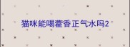 猫咪能喝藿香正气水吗