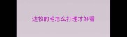 边牧的毛怎么打理才好看
