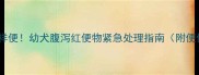 小狗拉红色稀水样便幼犬腹泻红便物紧急处理指南附便便颜色对照表