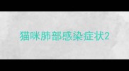 猫咪肺部感染症状