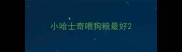 小哈士奇喂狗粮最好