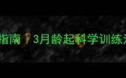 拉布拉多幼犬笼养指南3月龄起科学训练法告别拆家焦虑