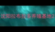 沈阳拉布拉多养殖基地
