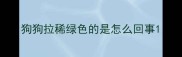 狗狗拉稀绿色的是怎么回事
