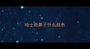 哈士奇鼻子什么颜色