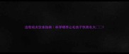 边牧幼犬饮食指南科学喂养让毛孩子快高长大