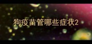 狗疫苗管哪些症状