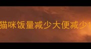 猫咪饭量减少大便减少