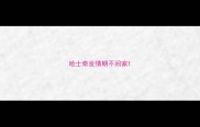 哈士奇发情期不回家