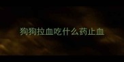 狗狗拉血吃什么药止血