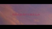 狗狗皮肤溃烂化脓怎么办