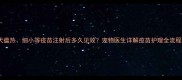 犬瘟热细小等疫苗注射后多久见效宠物医生详解疫苗护理全流程