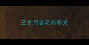 三个月金毛有多大