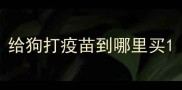 给狗打疫苗到哪里买