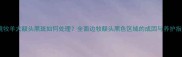 边境牧羊犬额头黑斑如何处理全面边牧额头黑色区域的成因与养护指南