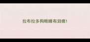 拉布拉多狗眼睛有泪痕