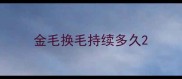 金毛换毛持续多久