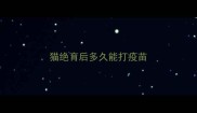 猫绝育后多久能打疫苗