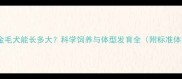 九个月金毛犬能长多大科学饲养与体型发育全附标准体重表