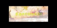 泰迪体外驱虫反应