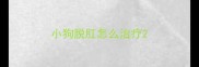 小狗脱肛怎么治疗