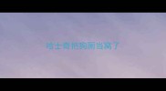 哈士奇把狗厕当窝了