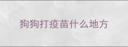 狗狗打疫苗什么地方