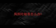 狗狗吃蚊香怎么办