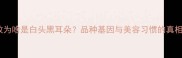 边牧为啥是白头黑耳朵品种基因与美容习惯的真相