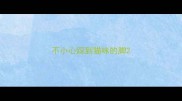 不小心踩到猫咪的脚